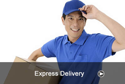 TRANSPORTE EXPRESS COURIER